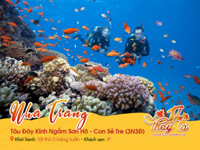 Nha Trang | Tàu Đáy Kính Ngắm San Hô | Con Sẻ Tre